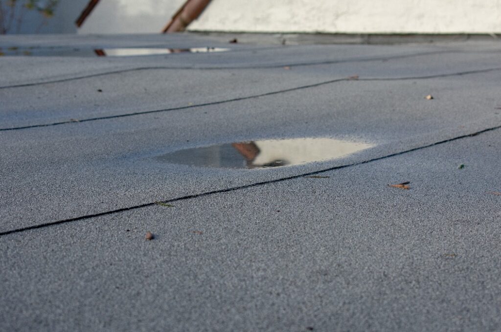 Ponding rainwater on flat roof after rain,  roof drainage and leak problem. Roof settling or sagging is result of framing issues, rotten or saturated sheathing